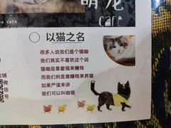 -平行世界·猫咖(首经贸店)