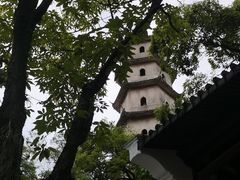 -江心屿景区
