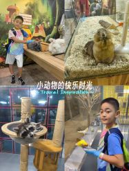 -神奇动物撸宠馆·羊驼·小浣熊·异宠(豫园店)