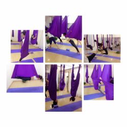 -亚太瑜伽普拉提学院