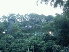 android_upload_pic-鲤鱼塘农家山庄