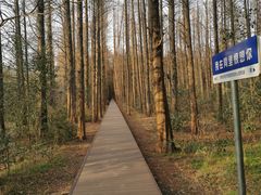 -同里国家湿地公园