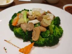 -詠春园