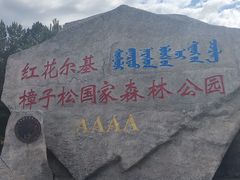 -红花尔基樟子松国家森林公园