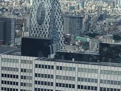 -东京都厅舍
