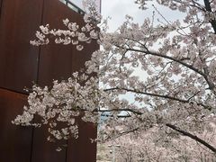 -龙美术馆(西岸馆)