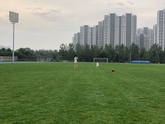 -山西体育中心红灯笼体育场