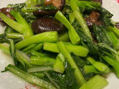 香菇菜心-南来顺饭庄·清真(南菜园店)