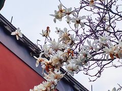 -钱王祠