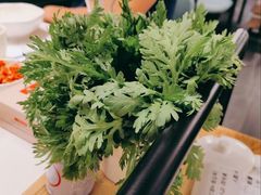 -蜀九香火锅(彩虹店)