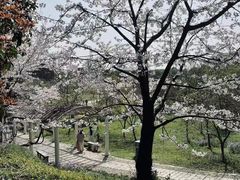-苏州上方山国家森林公园