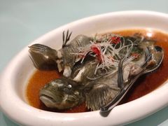 -新海渔港·胶东海鲜家常菜·家宴(奥体中心店)