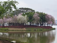 -顺峰山公园