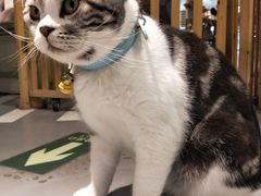 -小时光咖啡馆(开森度假森林店)