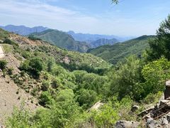 -白草畔自然风景区