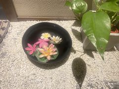 -迪洲SPA(大明宫店)