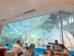 -帝企鹅自助餐厅•儿童岛•真企鹅(长隆企鹅酒店)