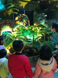 -恐龙探索乐园(磁器口店)