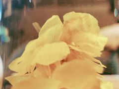 -一盏明灯全素斋(殊像寺店)