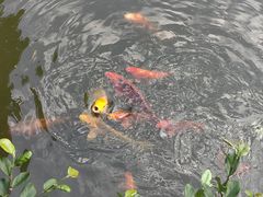 -浙江辛亥革命纪念馆