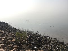 -深圳湾公园(南山区)