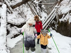 -峡谷浮石林景区