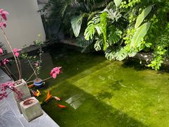 -漫笙舍Manse·咖啡·民宿