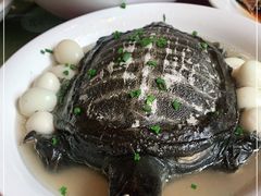 -石湖大酒店(桐泾店)