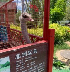 -萌宠亲子动物乐园(槐房万达店)