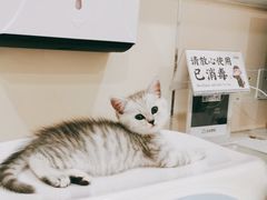 -萌兽医馆·犬猫专科·眼科中心·宠物医院(朝阳门分院)
