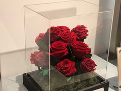 -ROSEONLY诺誓(广州K11店)
