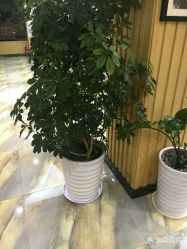 -永琪美容美发全国直营连锁