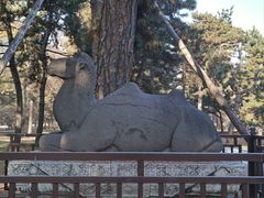 -沈阳市东陵公园