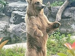 -宁波野生动物园