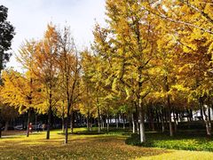 -西北湖绿化广场