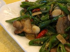 -胖大姐黄辣丁鱼庄(新津店)