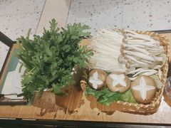-春润大地海南椰子鸡(沙井京基百纳广场店)