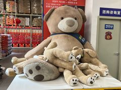 -麦德龙(郑东店)