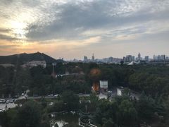 -山东大厦
