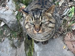 -终南山南五台景区