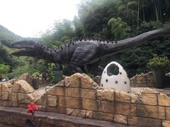 -将军关探险漂流