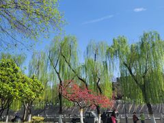 -西安城墙·碑林历史文化景区