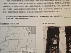 -洛阳古墓博物馆