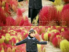 -天津东丽湖风景区