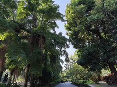 -中国科学院西双版纳热带植物园