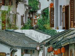 -宜兴龙背山森林公园