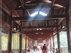 -重庆彩云湖湿地公园