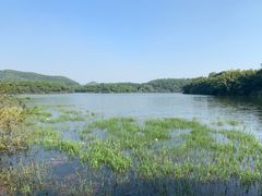 -大屏嶂森林公园