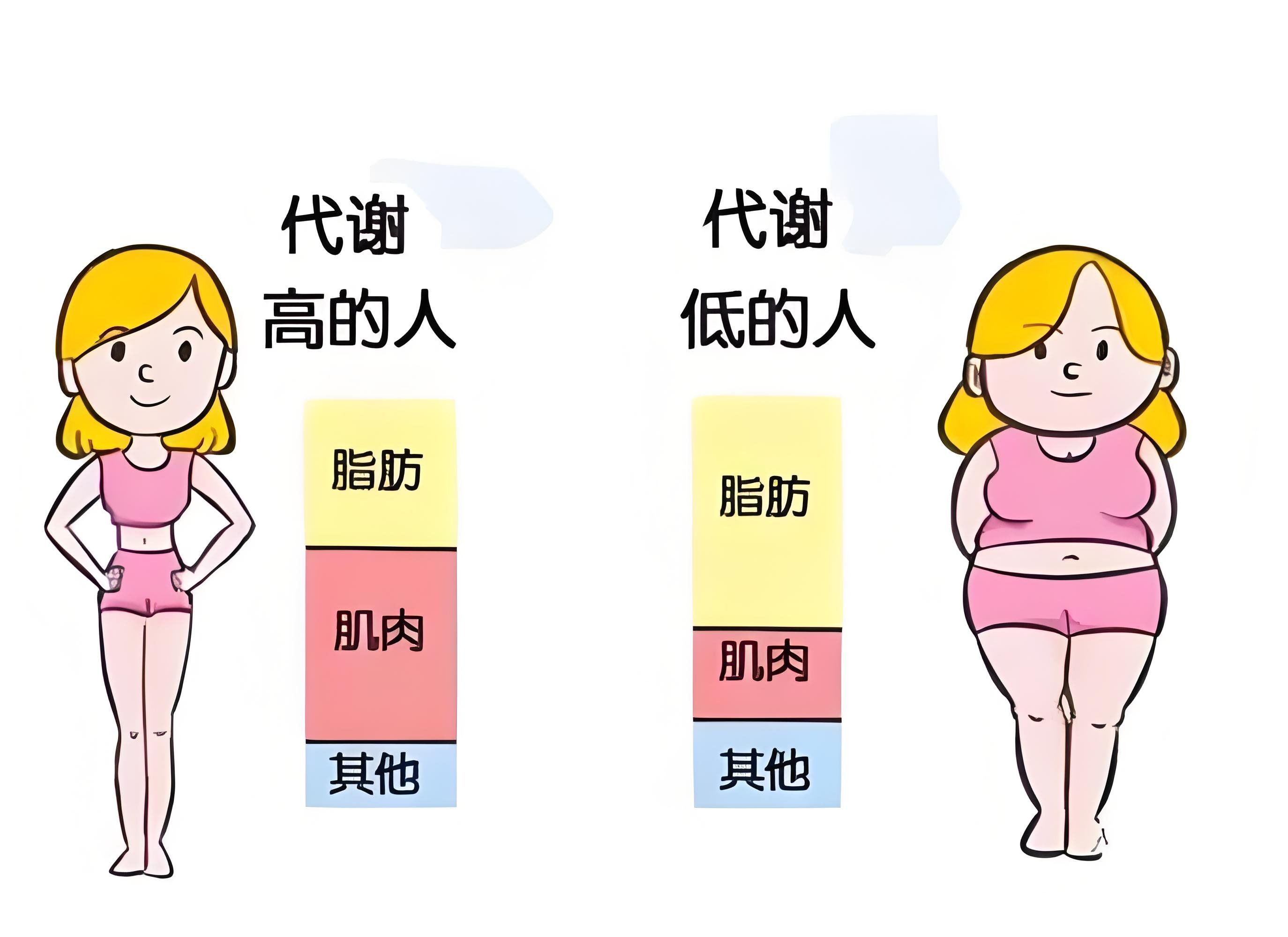 绿茶提取物——天然的经典植物活性原料 绿茶提取物——天然的经典植物活性原料
