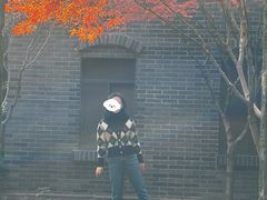 -南山植物园